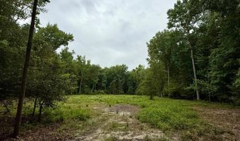 UTICA Road Parcel 3, Greenwood, DE 19950