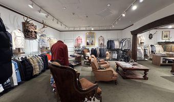 419 E Cooper Ave, Aspen, CO 81611