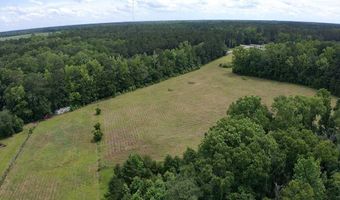 3224 Bo Peep Rd, Brunson, SC 29911
