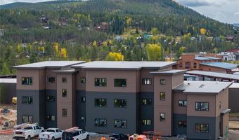 350 STAN MILLER 101, Breckenridge, CO 80424