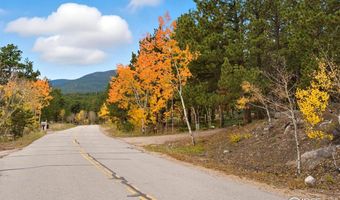 County Road 84 W, Allenspark, CO 80510