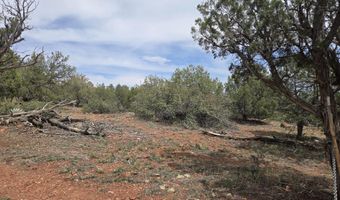 61 Raney Rd, Ash Fork, AZ 86320