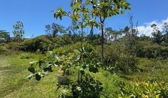 15-1719 13th Ave, Keaau, HI 96749