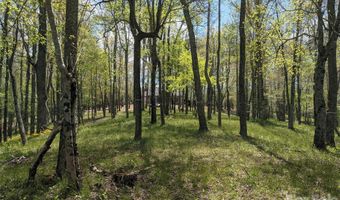 27 Woodtrail Way, Arden, NC 28704