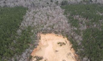 2573 SE Pricedale Dr, Bogue Chitto, MS 39629