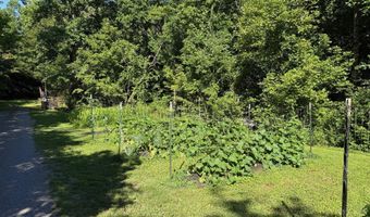 355 Lone Mountain Rd, Andersonville, TN 37705