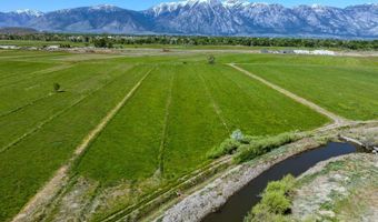 Pinenut Road, Gardnerville, NV 89410