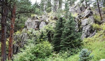 25653 Buckhorn Rd, Bellvue, CO 80512