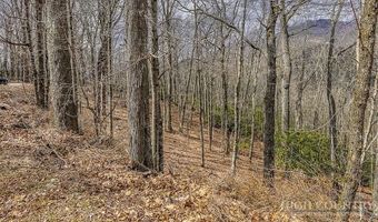 TBD Lot # 46 Woodlily Drive, Banner Elk, NC 28604