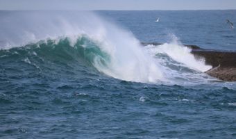 2653 FRANKLIN Ave SW, Bandon, OR 97411