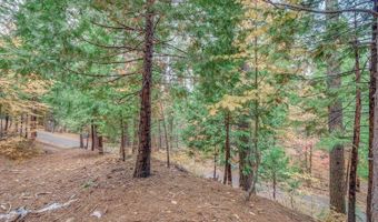 1695 Manzanita Dr, Arnold, CA 95223
