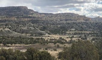 ROAD 4990, Bloomfield, NM 87413