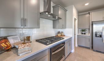 1028 SAKER FALCON Dr, Henderson, NV 89011