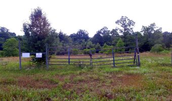 HIGHWAY 167 lot South Of Bernice, Bernice, LA 71222
