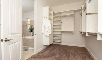 2814 Voight Canyon Dr, Genoa, NV 89411