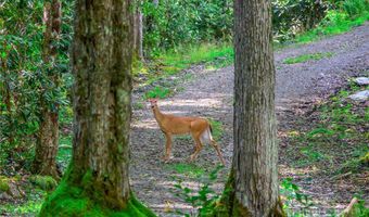 TBD Rock Ridge Lane, Banner Elk, NC 28604