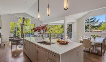 100 Park Ave, Aspen, CO 81611
