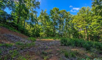 Amber Ranches 47, Bakersville, NC 28705