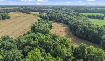 Old Jackson Road, Bells, TN 38006