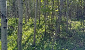 Gratiot River Road lot A, Allouez, MI 49805