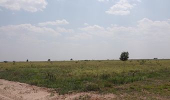 0 Maine Rd, Anton, TX 79313