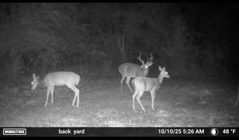 6838 HIGHWAY 167, Bernice, LA 71222
