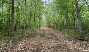 Hollywood Road, Appomattox, VA 24522