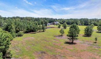 602 Alligator Rd, Andrews, SC 29510