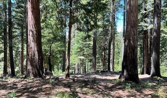 1619 Shoshone Dr, Arnold, CA 95223