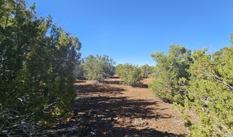 21 Co Rd 8032 # 8032, Concho, AZ 85924