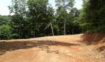 8 63ac Gravely Hill Rd, Bethpage, TN 37022