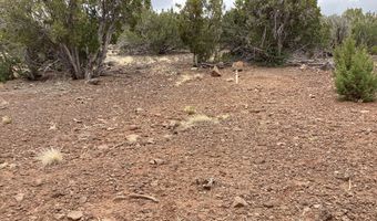 Xxx Stanford Drive 72, Concho, AZ 85924