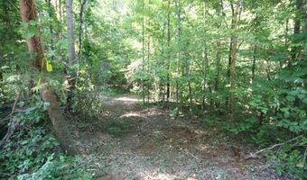 TBA BETTYS BRANCH RD X, Arvonia, VA 23004