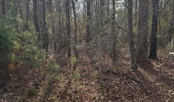 Singer Ln, Abbeville, AL 36310