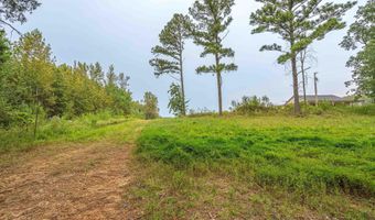 Tract 1 Highway 99, Anderson, AL 35610