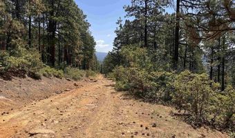 TBD Unit 3 Forest Lakes, Bayfield, CO 81122