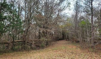 1038 Bulls Horne Rd, Abbeville, SC 29620