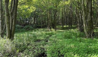 749 Green Rd, Alfred, NY 14803