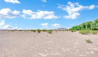 3699 S Miner Rd, Amargosa Valley, NV 89020