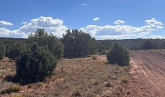 343 344 CR 8295, Concho, AZ 85924