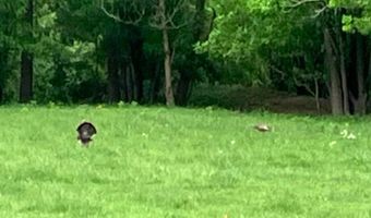 679 New Hope Church Rd, Barbourville, KY 40906