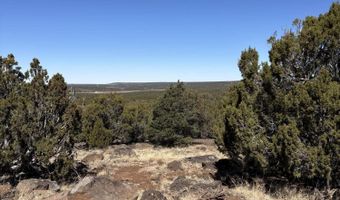 30 County Rd, Concho, AZ 85924