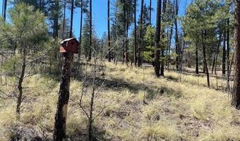 000 COUNTY ROAD 2191 LOT 46, Alpine, AZ 85920