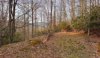 2438 Kellersville Rd, Banner Elk, NC 28604