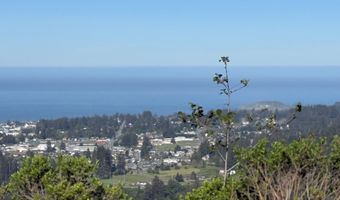 Dale CT 2, Brookings, OR 97415