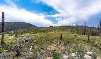 2384 Rist Creek Rd, Bellvue, CO 80512