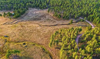 1 A FOREST ROAD 26, Alpine, AZ 85920