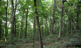Whiskey Creek Lane, Batesville, AR 72501
