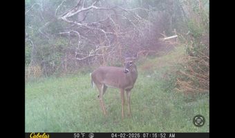 2512 Beulah Church Rd, Alma, GA 31510