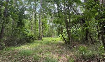 Tbd NW 67TH BOULEVARD, Alachua, FL 32615